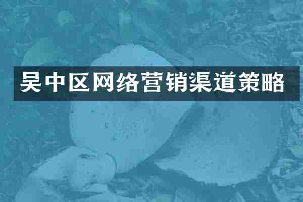 吴中区网络营销渠道策略