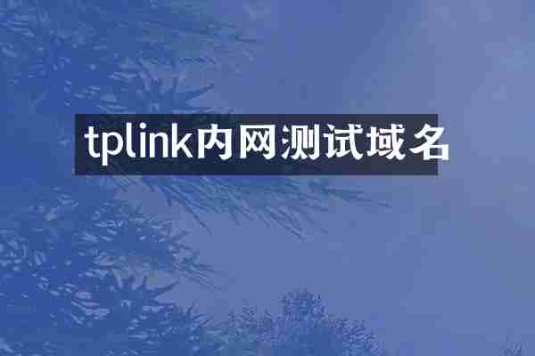 tplink内网测试域名