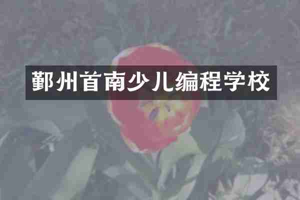 鄞州首南少儿编程学校
