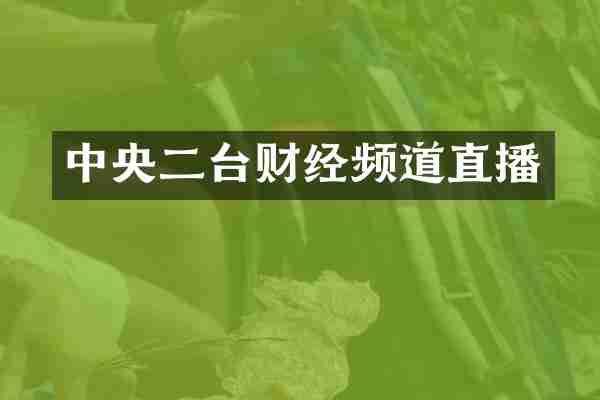 中央二台财经频道直播