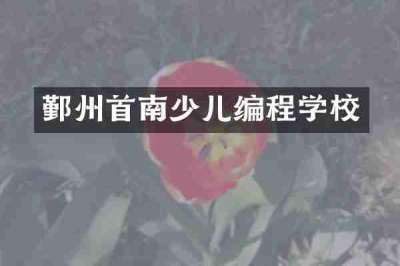 鄞州首南少儿编程学校