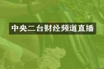 中央二台财经频道直播