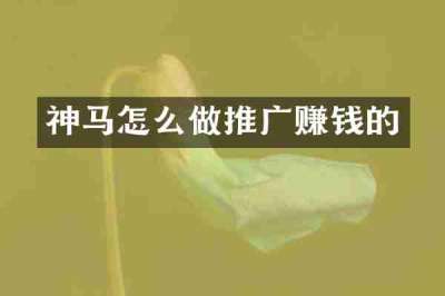 神马怎么做推广赚钱的
