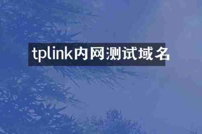 tplink内网测试域名