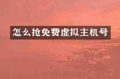 怎么抢免费虚拟主机号