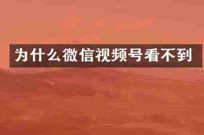 为什么微信视频号看不到