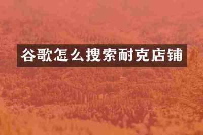 谷歌怎么搜索耐克店铺