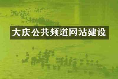 大庆公共频道网站建设