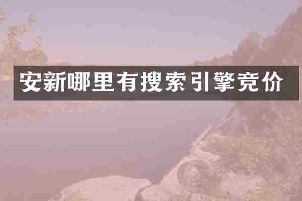 安新哪里有搜索引擎竞价