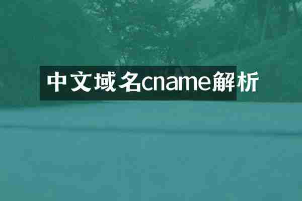 中文域名cname解析