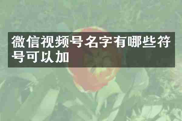 微信视频号名字有哪些符号可以加