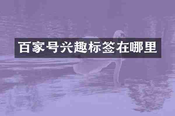百家号兴趣标签在哪里