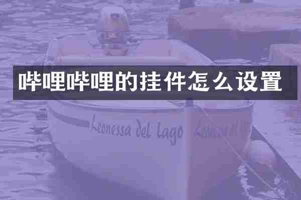 哔哩哔哩的挂件怎么设置