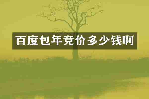 百度包年竞价多少钱啊