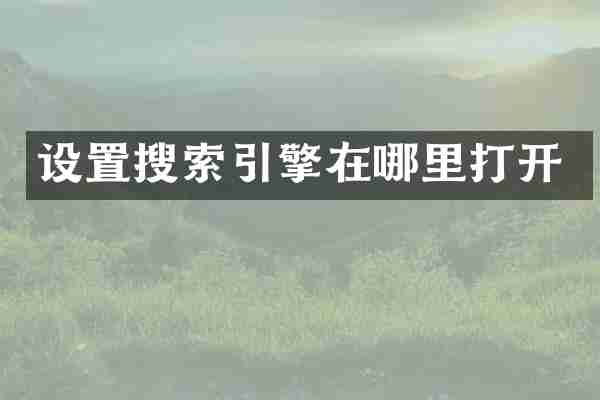 设置搜索引擎在哪里打开