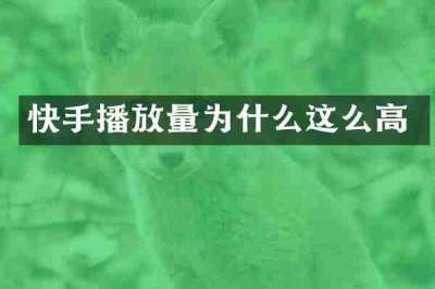 快手播放量为什么这么高