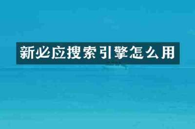 新必应搜索引擎怎么用