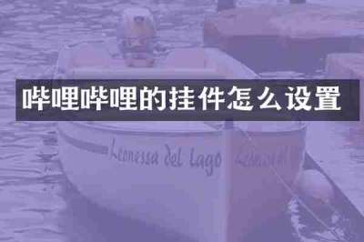 哔哩哔哩的挂件怎么设置