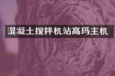 混凝土搅拌机站高玛主机