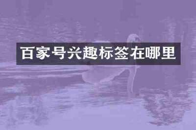 百家号兴趣标签在哪里