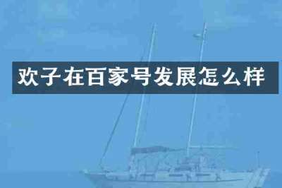欢子在百家号发展怎么样