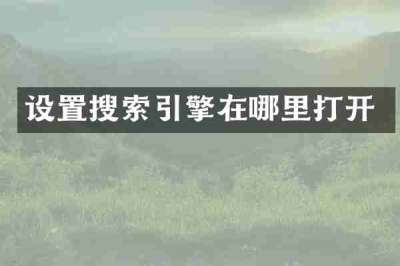 设置搜索引擎在哪里打开