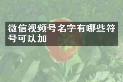 微信视频号名字有哪些符号可以加