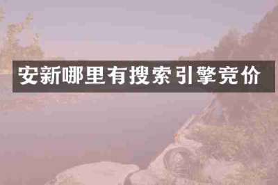 安新哪里有搜索引擎竞价