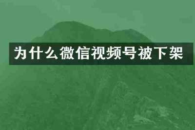 为什么微信视频号被下架