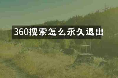 360搜索怎么永久退出