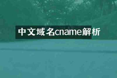中文域名cname解析