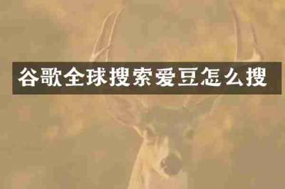 谷歌全球搜索爱豆怎么搜