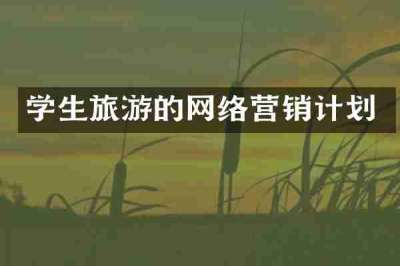 学生旅游的网络营销计划