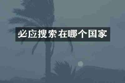 必应搜索在哪个国家