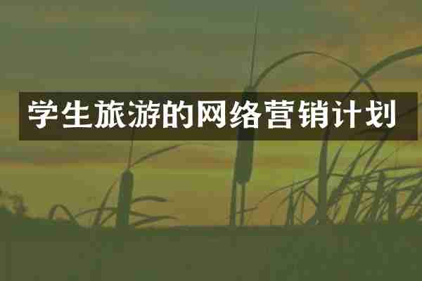 学生旅游的网络营销计划