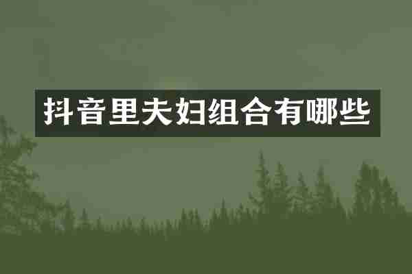 抖音里夫妇组合有哪些