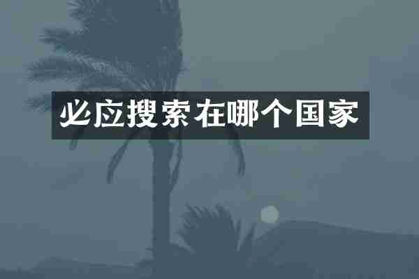 必应搜索在哪个国家