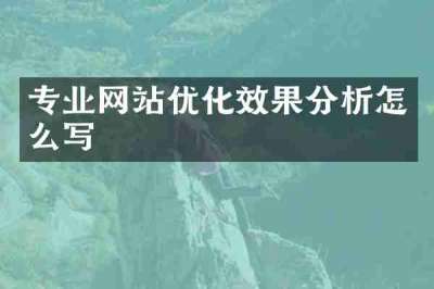 专业网站优化效果分析怎么写