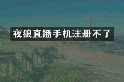 夜狼直播手机注册不了