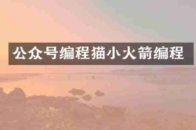 公众号编程猫小火箭编程