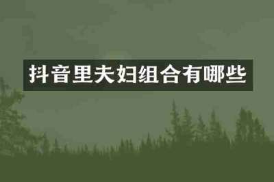 抖音里夫妇组合有哪些