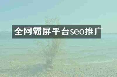 全网霸屏平台seo推广