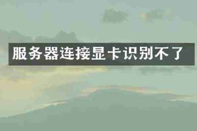 服务器连接显卡识别不了