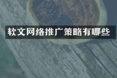 软文网络推广策略有哪些