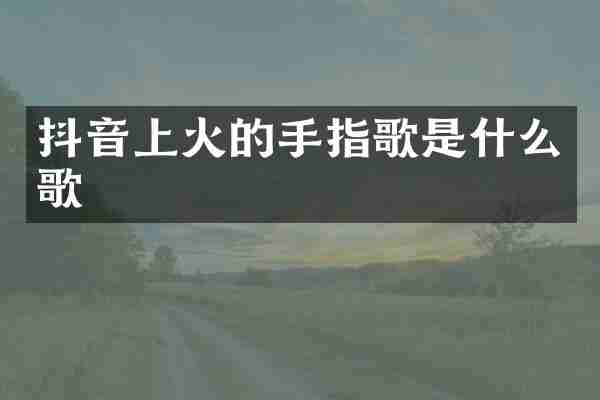 抖音上火的手指歌是什么歌