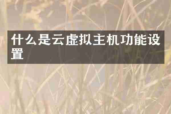 什么是云虚拟主机功能设置