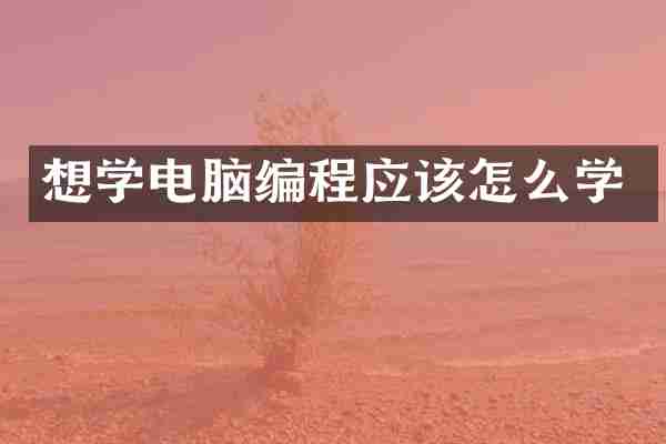 想学电脑编程应该怎么学