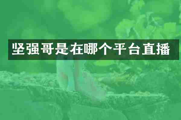 坚强哥是在哪个平台直播