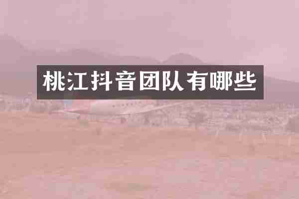 桃江抖音团队有哪些