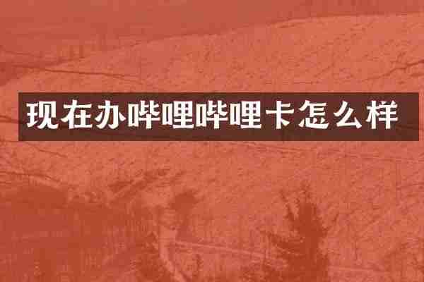 现在办哔哩哔哩卡怎么样